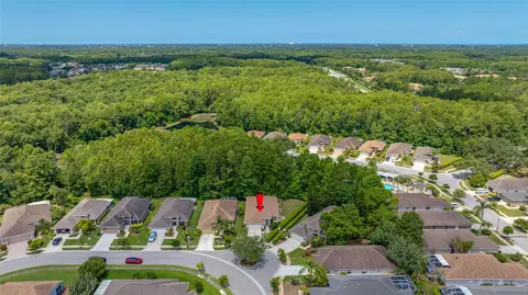 View/Area - 7740 Craighurst Loop, Trinity, FL 34655 photo 8 of 24