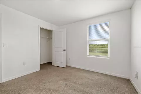 Bedroom - 11926 Downy Birch Dr, Riverview, FL 33569 photo 9 of 9