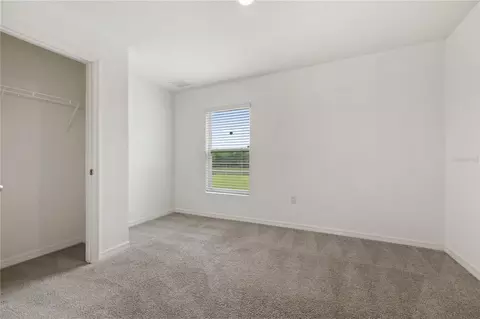 Bedroom - 11926 Downy Birch Dr, Riverview, FL 33569 photo 1 of 9