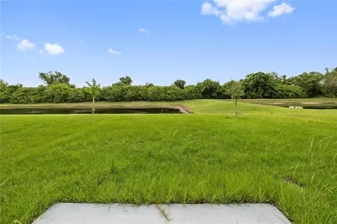 Exterior - 11926 Downy Birch Dr, Riverview, FL 33569 photo 4 of 5
