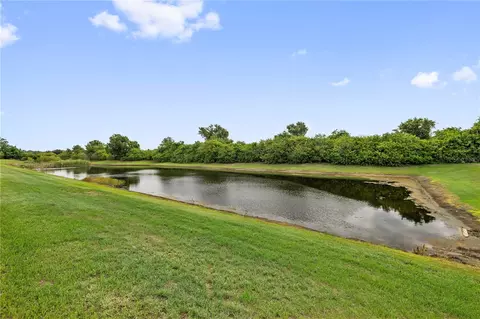 View/Area - 11926 Downy Birch Dr, Riverview, FL 33569 photo 1 of 11
