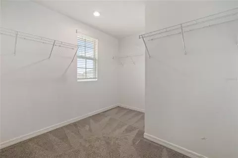 Other - 11926 Downy Birch Dr, Riverview, FL 33569 photo 5 of 6