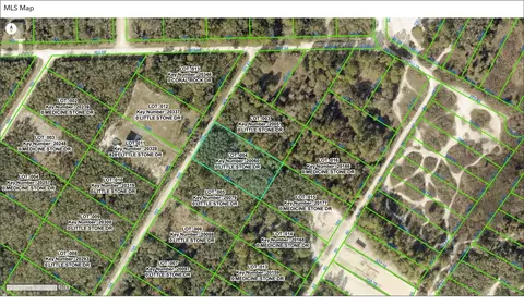000 Little Stone Dr, Webster, FL 33597