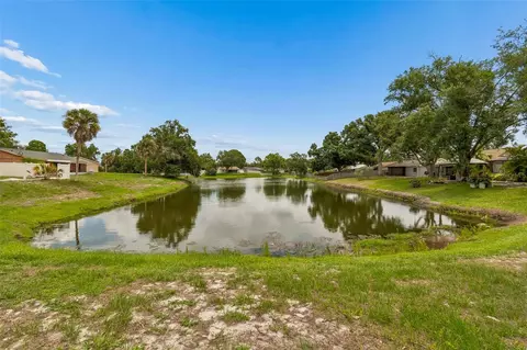 View/Area - 11318 Blackbark Dr, Riverview, FL 33579 photo 1 of 2