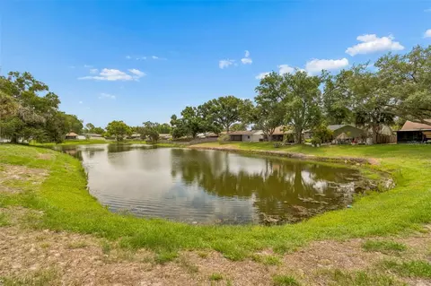 View/Area - 11318 Blackbark Dr, Riverview, FL 33579 photo 2 of 2