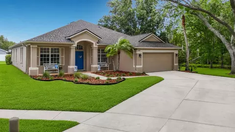 19101 Golden Cacoon Pl, Lutz, FL 33558