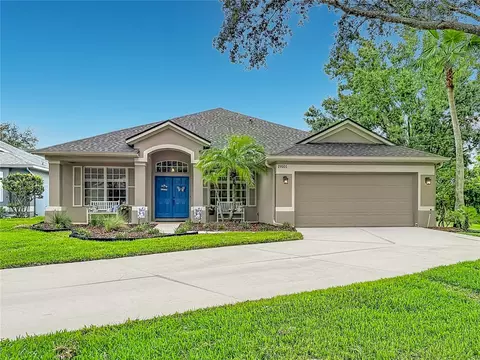 19101 Golden Cacoon Pl, Lutz, FL 33558