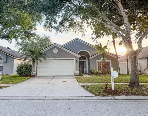 8608 Fawn Creek Dr, Tampa, FL 33626