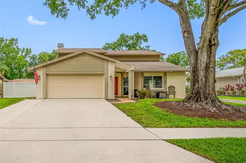 15816 Hound Horn Ln, Tampa, FL 33624