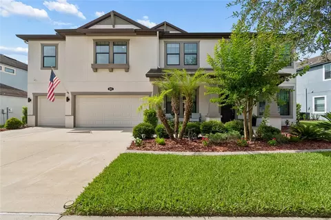 10623 Mistflower Ln, Tampa, FL 33647