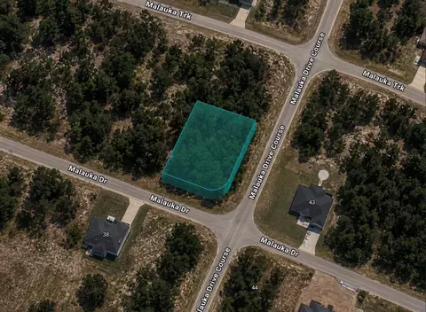 0 Malauka Dr, Ocklawaha, FL 32179