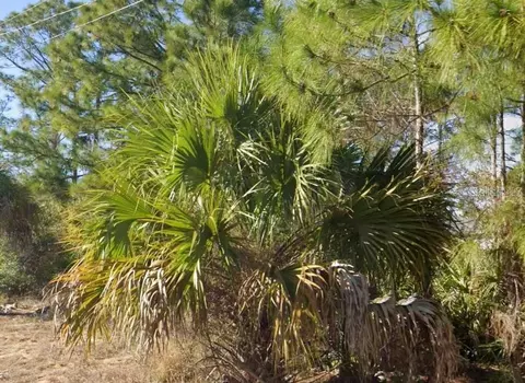 2706 52nd St W, Lehigh Acres, FL 33971