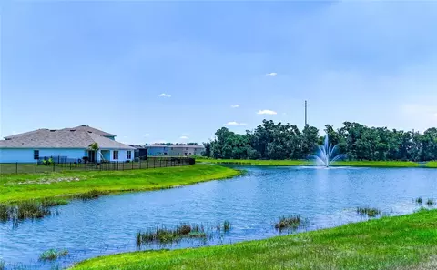 View/Area - 12142 Mountain Island Trl, Parrish, FL 34219 photo 3 of 7