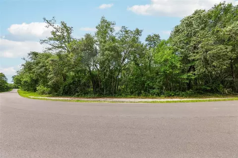 33340 Tombstone St, Webster, FL 33597