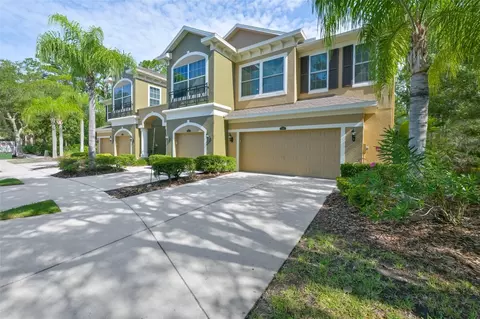 12646 Silverdale St, Tampa, FL 33626