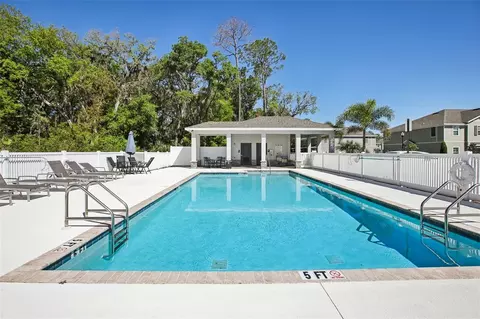 Exterior - 10916 Quickwater Ct, Riverview, FL 33569 photo 6 of 8