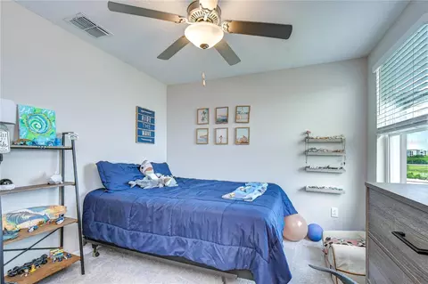 17917 Cloudless Bliss Dr, Lutz, FL 33558 photo 20