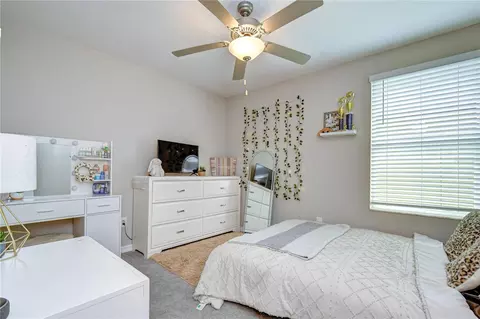 17917 Cloudless Bliss Dr, Lutz, FL 33558 photo 17