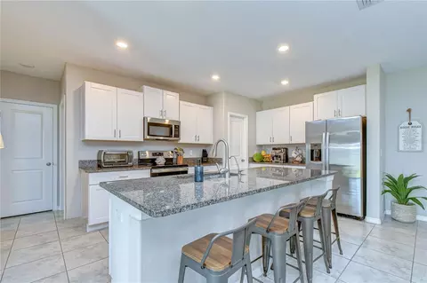 17917 Cloudless Bliss Dr, Lutz, FL 33558 photo 3