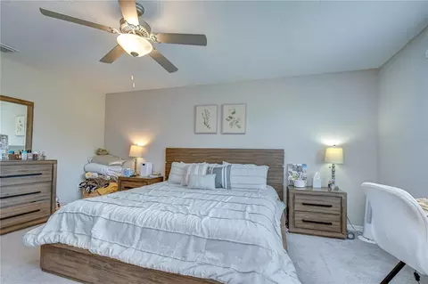 17917 Cloudless Bliss Dr, Lutz, FL 33558 photo 14