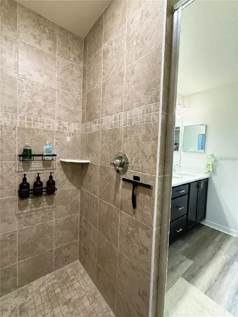 Bath - 390 Windy Willow Way, Saint Cloud, FL 34771 photo 4 of 7
