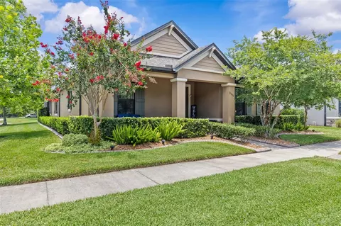 13353 Batten Ln, Odessa, FL 33556