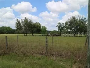 11819 Tarpon Springs Rd, Odessa, FL 33556