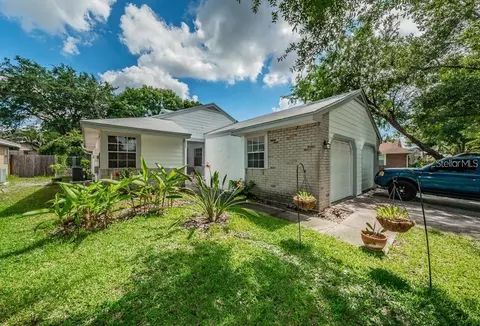 3165 Phlox Dr, Palm Harbor, FL 34684