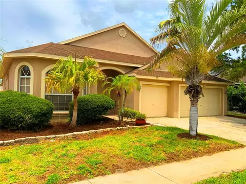 1805 Wood Bend St, Tarpon Springs, FL 34689