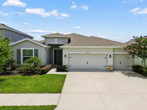 7629 Broad River Ave, Land O Lakes, FL 34638