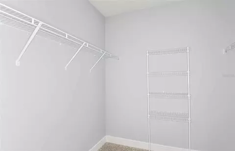 Other - 12717 Blue Reflection Ave, Parrish, FL 34219 photo 3 of 4