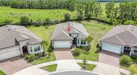 18466 Coastal Shore Ter, Land O Lakes, FL 34638