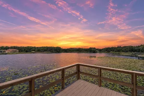 2459 Shorewood Ln, Land O Lakes, FL 34639