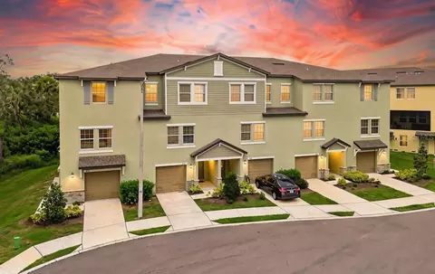 873 Tennyson Mill Cir, Tampa, FL 33619