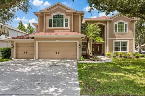 4151 La Salle Dr, Palm Harbor, FL 34685