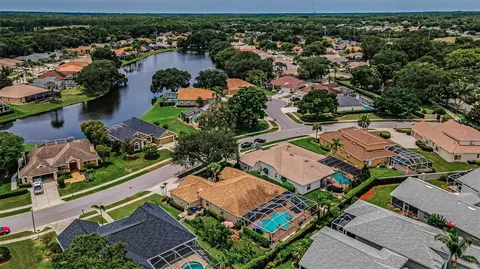 View/Area - 1114 Toski Dr, Trinity, FL 34655 photo 7 of 12