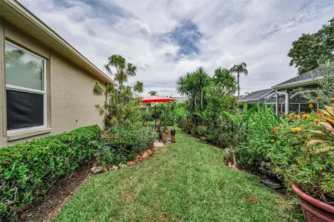Exterior - 1114 Toski Dr, Trinity, FL 34655 photo 15 of 20