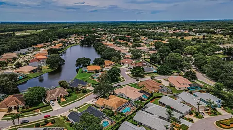 View/Area - 1114 Toski Dr, Trinity, FL 34655 photo 6 of 12
