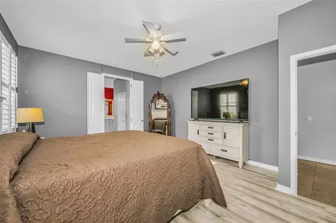 Bedroom - 1114 Toski Dr, Trinity, FL 34655 photo 3 of 7