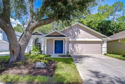 8545 Manassas Rd, Tampa, FL 33635