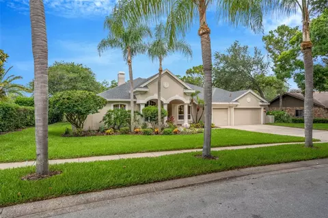 3110 Harvest Moon Dr, Palm Harbor, FL 34683