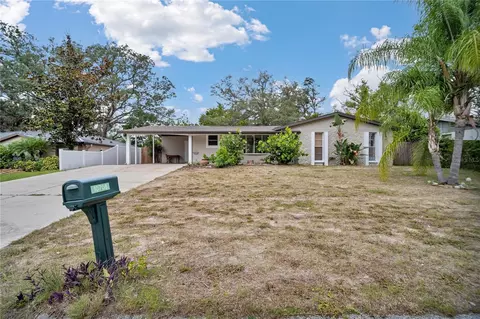 10708 N Ojus Dr, Tampa, FL 33617