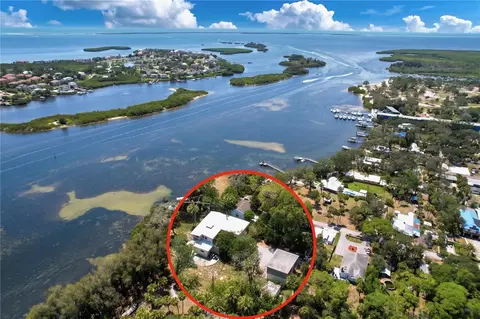 1275 Mickler Ln, Tarpon Springs, FL 34689