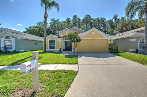30914 Burleigh Dr, Wesley Chapel, FL 33543