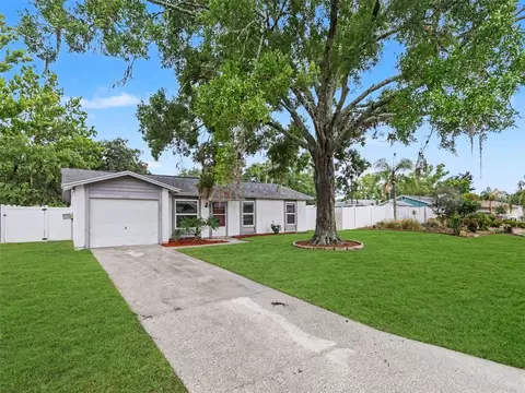 22630 Newfield Ct, Land O Lakes, FL 34639