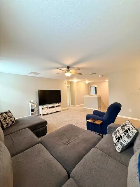Living - 14250 Blue Dasher Dr, Riverview, FL 33569 photo 3 of 3