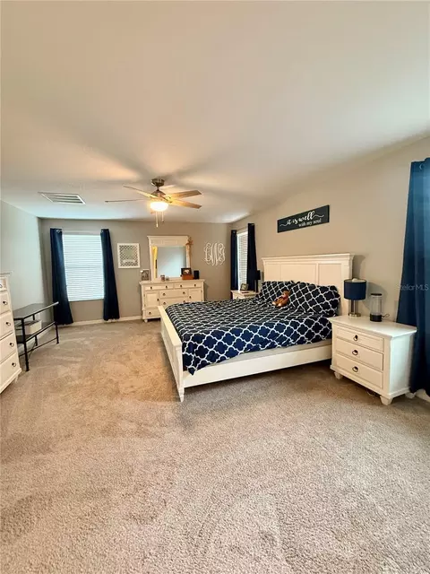Bedroom - 14250 Blue Dasher Dr, Riverview, FL 33569 photo 2 of 5