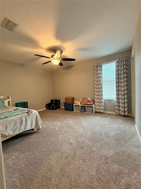 Bedroom - 14250 Blue Dasher Dr, Riverview, FL 33569 photo 5 of 5