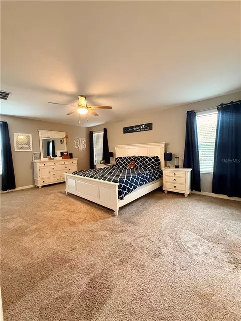 Bedroom - 14250 Blue Dasher Dr, Riverview, FL 33569 photo 3 of 5