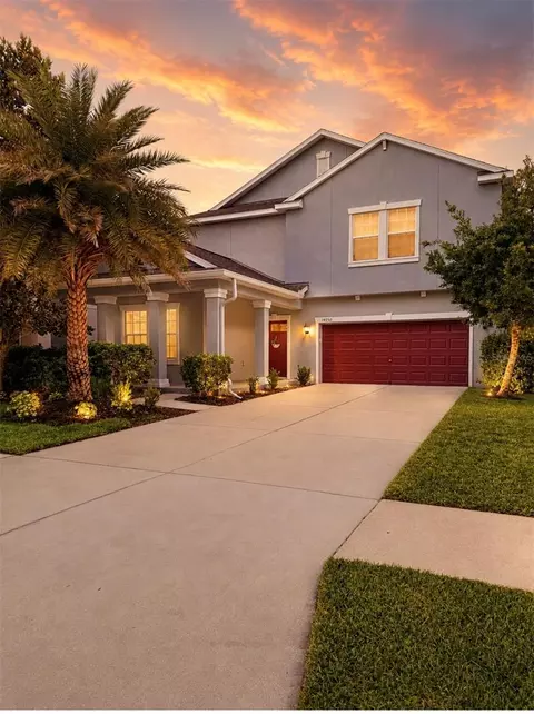 Exterior - 14250 Blue Dasher Dr, Riverview, FL 33569 photo 7 of 7